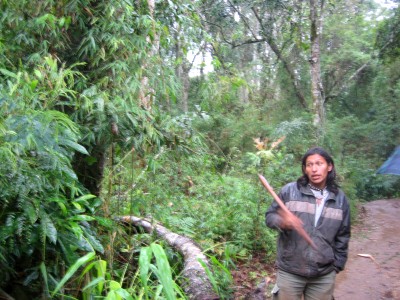 argentinien_originale 322.jpg